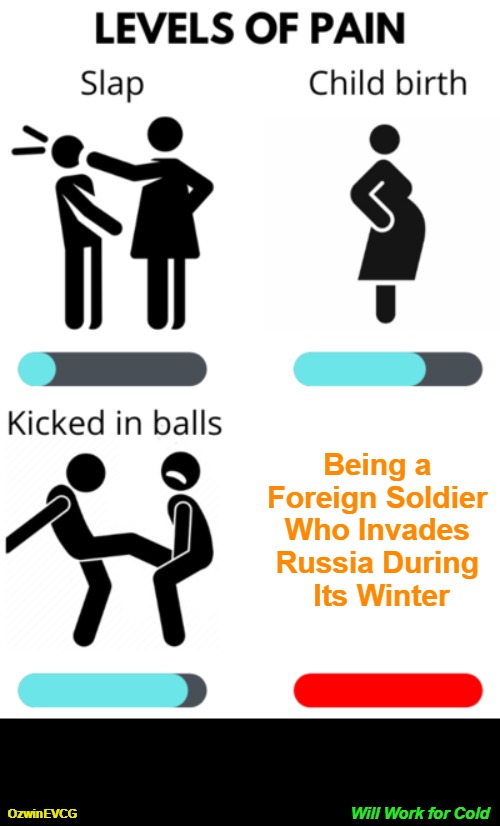 Will Work for Cold | Being a 

Foreign Soldier 

Who Invades 

Russia During 

Its Winter; Will Work for Cold; OzwinEVCG | image tagged in levels of pain,russia,history memes,russian winter,military strategy,soldier life | made w/ Imgflip meme maker