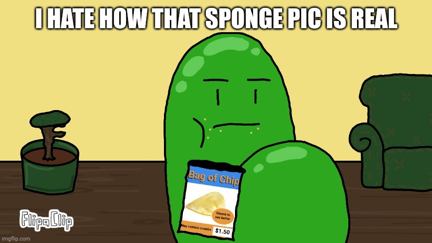Oval bag of chip | I HATE HOW THAT SPONGE PIC IS REAL | image tagged in oval bag of chip | made w/ Imgflip meme maker