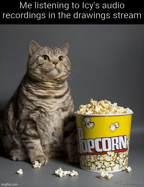 Cat eating popcorn | Me listening to Icy's audio recordings in the drawings stream | image tagged in cat eating popcorn | made w/ Imgflip meme maker