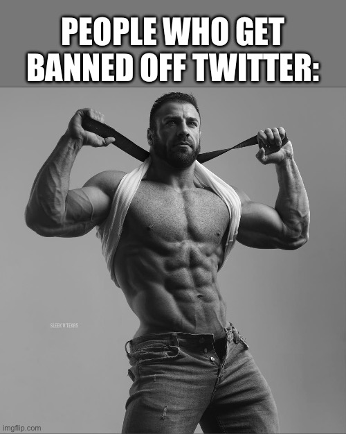 Elaborate | PEOPLE WHO GET BANNED OFF TWITTER: | image tagged in elaborate,gigachad,twitter,memes,shitpost,humor | made w/ Imgflip meme maker