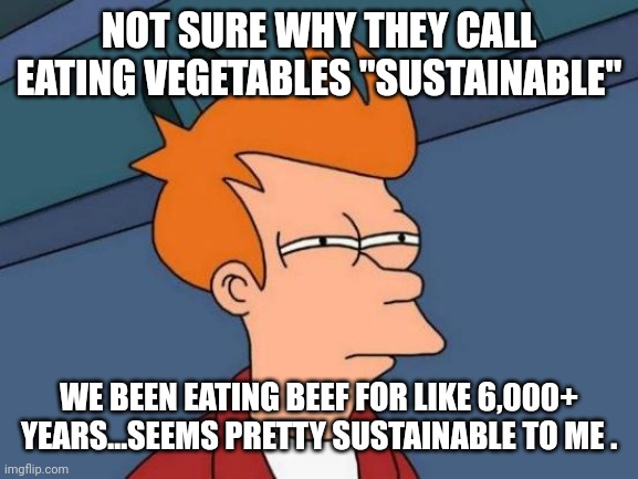 Futurama Fry Meme | NOT SURE WHY THEY CALL EATING VEGETABLES "SUSTAINABLE" WE BEEN EATING BEEF FOR LIKE 6,000+ YEARS...SEEMS PRETTY SUSTAINABLE TO ME . | image tagged in memes,futurama fry | made w/ Imgflip meme maker