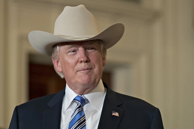 Cowboy Trump Blank Meme Template