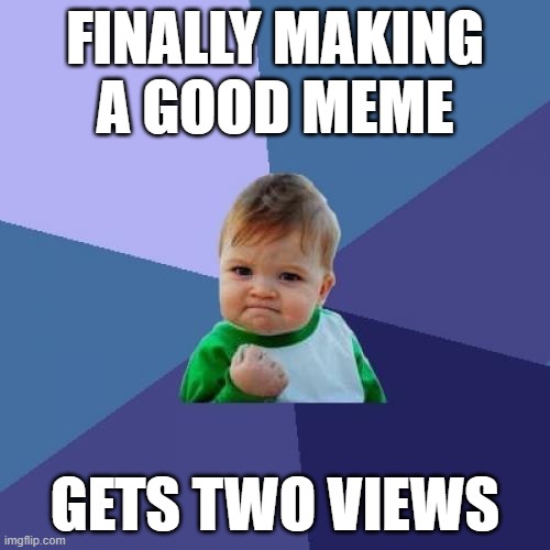 prograss | FINALLY MAKING A GOOD MEME; GETS TWO VIEWS | image tagged in memes,success kid | made w/ Imgflip meme maker