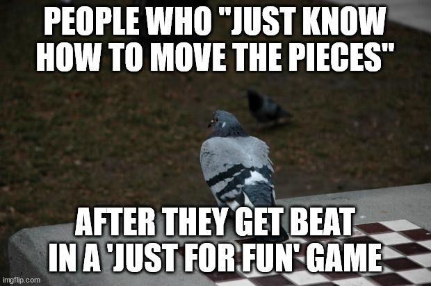 My cousins fr | PEOPLE WHO "JUST KNOW HOW TO MOVE THE PIECES"; AFTER THEY GET BEAT IN A 'JUST FOR FUN' GAME | image tagged in pigeon shitting on chess board | made w/ Imgflip meme maker