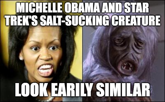 I'm just saying, I've never seen them in the same room together. | MICHELLE OBAMA AND STAR TREK'S SALT-SUCKING CREATURE; LOOK EARILY SIMILAR | image tagged in michelle obama,star trek,fugly | made w/ Imgflip meme maker