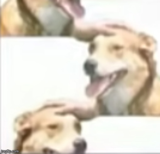dog pat dog | image tagged in dog pat dog | made w/ Imgflip meme maker
