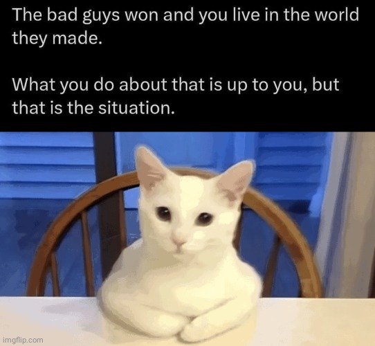 Cope with it Cat | image tagged in cat,advice,self help | made w/ Imgflip meme maker
