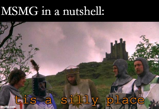 monty python tis a silly place | MSMG in a nutshell:; tis a silly place | image tagged in monty python tis a silly place | made w/ Imgflip meme maker