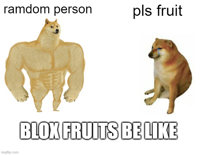 Buff Doge vs. Cheems | ramdom person; pls fruit; BLOX FRUITS BE LIKE | image tagged in memes,buff doge vs cheems | made w/ Imgflip meme maker