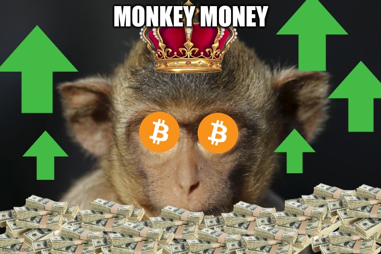 Monkey Money | MONKEY MONEY | image tagged in funny,rich,monkey,money | made w/ Imgflip meme maker
