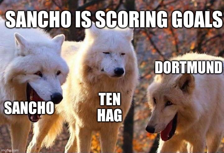 Laughing wolf | SANCHO IS SCORING GOALS; DORTMUND; TEN
HAG; SANCHO | image tagged in laughing wolf | made w/ Imgflip meme maker