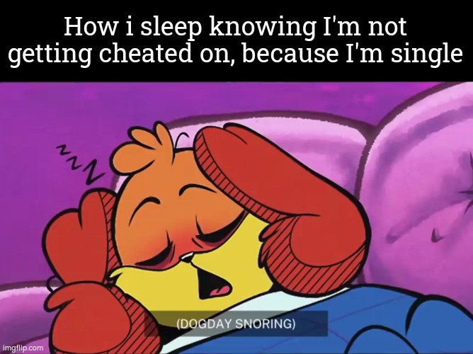 I love it! | How i sleep knowing I'm not getting cheated on, because I'm single | image tagged in funny,sleep,cheat,single | made w/ Imgflip meme maker