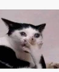 High Quality Crying Cat Blank Meme Template