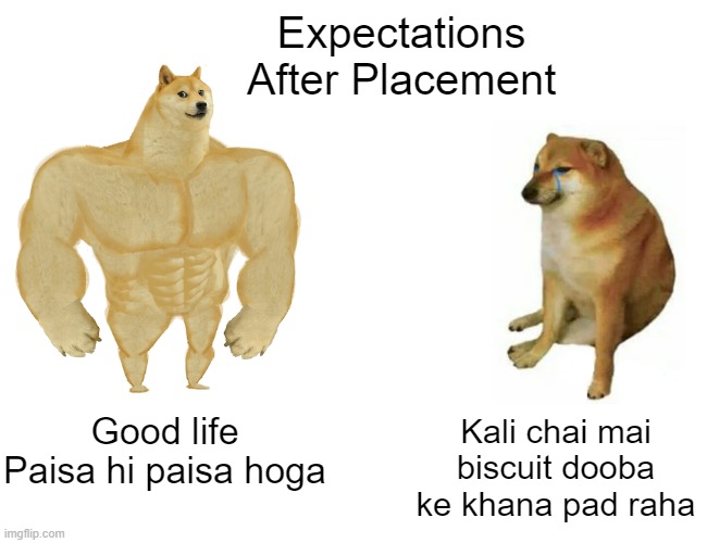 Reel vs real | Expectations After Placement; Good life
Paisa hi paisa hoga; Kali chai mai biscuit dooba ke khana pad raha | image tagged in memes,buff doge vs cheems | made w/ Imgflip meme maker