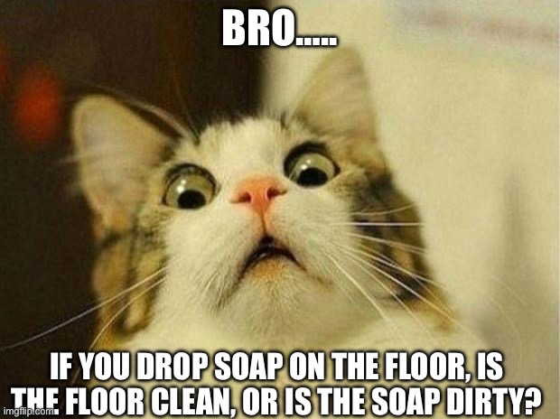 Scared Cat Meme | BRO….. IF YOU DROP SOAP ON THE FLOOR, IS THE FLOOR CLEAN, OR IS THE SOAP DIRTY? | image tagged in memes,scared cat | made w/ Imgflip meme maker