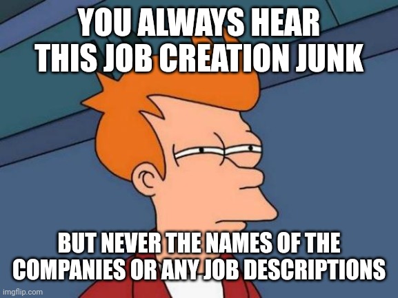 Futurama Fry Meme | YOU ALWAYS HEAR THIS JOB CREATION JUNK BUT NEVER THE NAMES OF THE COMPANIES OR ANY JOB DESCRIPTIONS | image tagged in memes,futurama fry | made w/ Imgflip meme maker