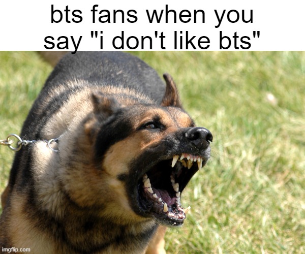 if u understand, give yourself a pat on the back | bts fans when you say "i don't like bts" | image tagged in barking dog | made w/ Imgflip meme maker