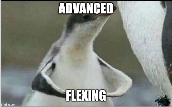 Penguin flexing | ADVANCED FLEXING | image tagged in penguin flexing | made w/ Imgflip meme maker