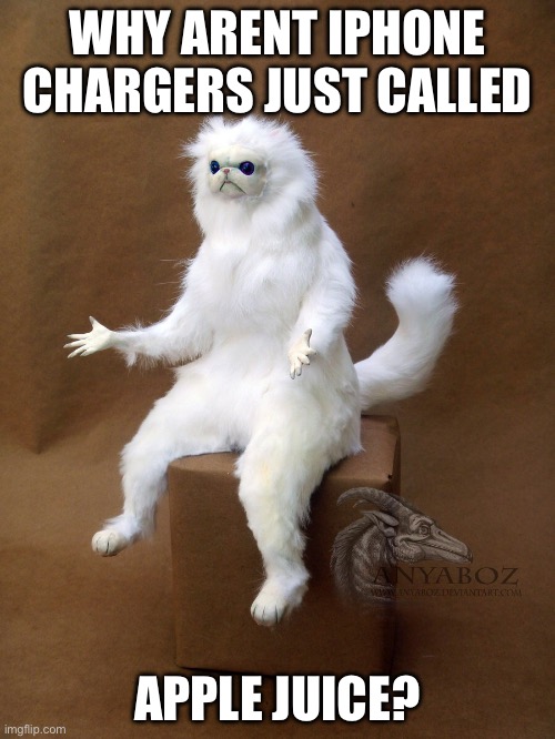 Persian Cat Room Guardian Single | WHY ARENT IPHONE CHARGERS JUST CALLED; APPLE JUICE? | image tagged in memes,persian cat room guardian single | made w/ Imgflip meme maker