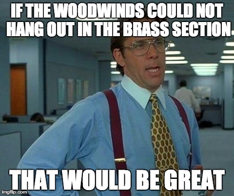 That Would Be Great | IF THE WOODWINDS COULD NOT HANG OUT IN THE BRASS SECTION THAT WOULD BE GREAT | image tagged in memes,that would be great | made w/ Imgflip meme maker