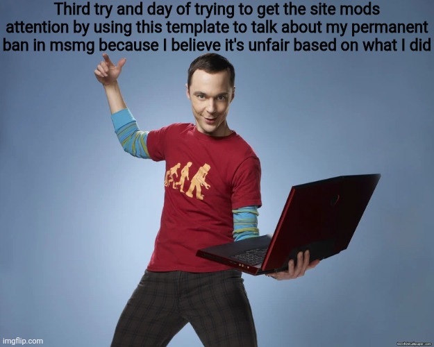 Feel like it's going to be at least 30 days | Third try and day of trying to get the site mods attention by using this template to talk about my permanent ban in msmg because I believe it's unfair based on what I did | image tagged in sheldon cooper laptop | made w/ Imgflip meme maker