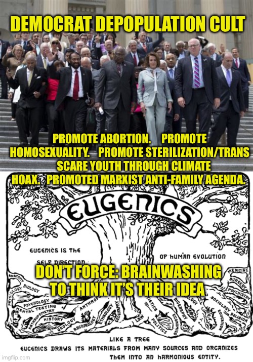 Making the depopulation agenda mainstream, is working | DEMOCRAT DEPOPULATION CULT; PROMOTE ABORTION.     PROMOTE HOMOSEXUALITY.    PROMOTE STERILIZATION/TRANS     SCARE YOUTH THROUGH CLIMATE HOAX.   PROMOTED MARXIST ANTI-FAMILY AGENDA. DON’T FORCE: BRAINWASHING TO THINK IT’S THEIR IDEA | image tagged in gifs,democrats,socialism,marxism | made w/ Imgflip meme maker