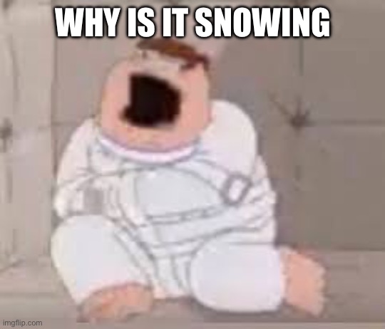 Peter Griffin insane asylum | WHY IS IT SNOWING | image tagged in peter griffin insane asylum | made w/ Imgflip meme maker