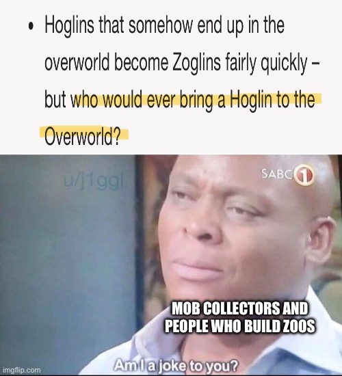 Im sad about this cuz i want to bring hoglins to the overworld for zoos | MOB COLLECTORS AND PEOPLE WHO BUILD ZOOS | image tagged in am i a joke to you | made w/ Imgflip meme maker