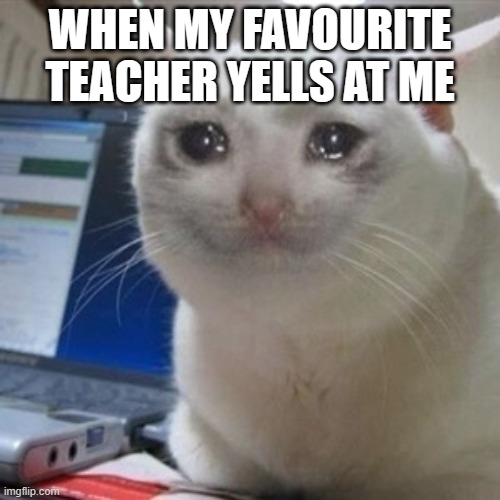 my favourite teacher yells at me | WHEN MY FAVOURITE TEACHER YELLS AT ME | image tagged in crying cat | made w/ Imgflip meme maker