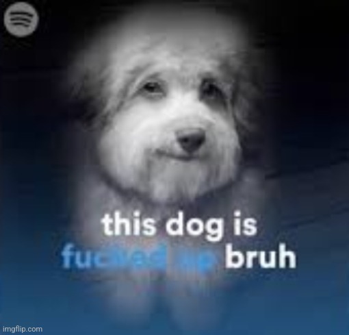 This dog is fucked up bruh | image tagged in this dog is fucked up bruh | made w/ Imgflip meme maker