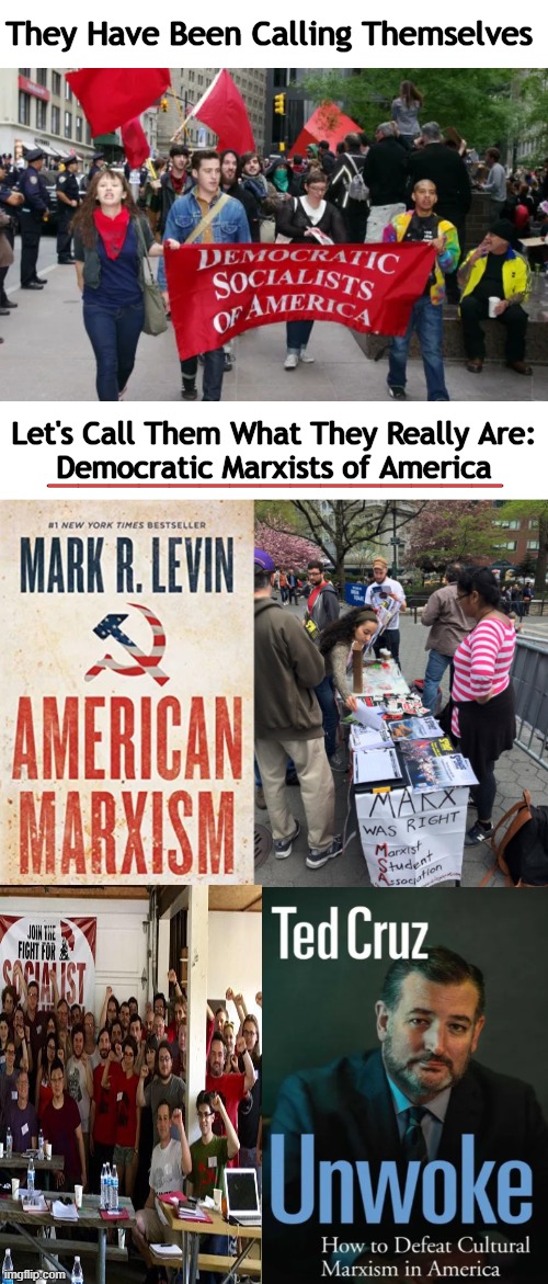 The Truth About Socialism, Marxism and America | They Have Been Calling Themselves; _______________; Let's Call Them What They Really Are:

Democratic Marxists of America | image tagged in politics,socialism,marxism,democrat party,truth hurts,the truth | made w/ Imgflip meme maker