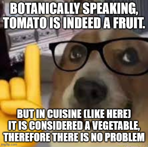 nerd dog | BOTANICALLY SPEAKING, TOMATO IS INDEED A FRUIT. BUT IN CUISINE (LIKE HERE) IT IS CONSIDERED A VEGETABLE, THEREFORE THERE IS NO PROBLEM | image tagged in nerd dog | made w/ Imgflip meme maker