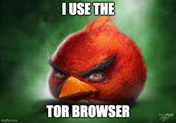 Realistic Red Angry Birds | I USE THE; TOR BROWSER | image tagged in realistic red angry birds | made w/ Imgflip meme maker