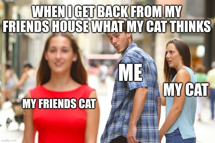 Distracted Boyfriend | WHEN I GET BACK FROM MY FRIENDS HOUSE WHAT MY CAT THINKS; ME; MY CAT; MY FRIENDS CAT | image tagged in memes,distracted boyfriend | made w/ Imgflip meme maker