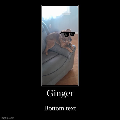 Ginger | Bottom text | image tagged in funny,demotivationals | made w/ Imgflip demotivational maker