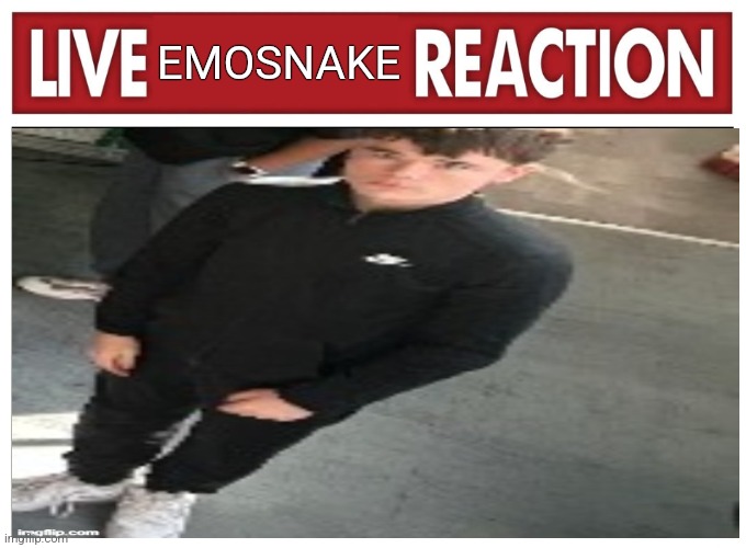 Live reaction | EMOSNAKE | image tagged in live reaction | made w/ Imgflip meme maker