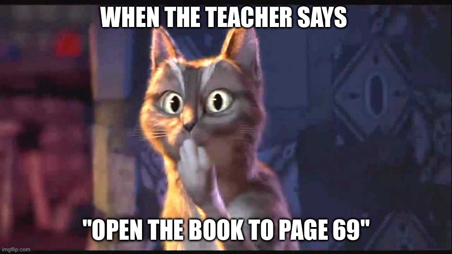 Cat Ooh Puss In Boots | WHEN THE TEACHER SAYS; "OPEN THE BOOK TO PAGE 69" | image tagged in cat ooh puss in boots | made w/ Imgflip meme maker