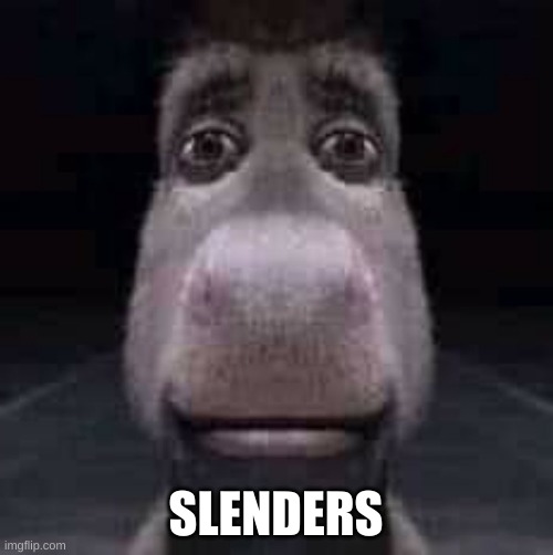 Donkey staring | SLENDERS | image tagged in donkey staring | made w/ Imgflip meme maker