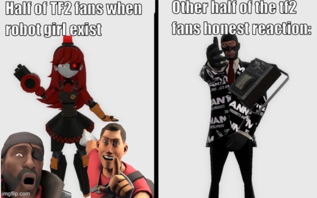 Or you just don't care | image tagged in tf2,fans | made w/ Imgflip meme maker