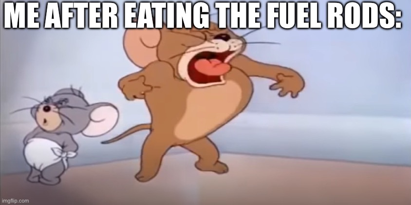 Dat Mouse Be Screechin | ME AFTER EATING THE FUEL RODS: | image tagged in dat mouse be screechin | made w/ Imgflip meme maker