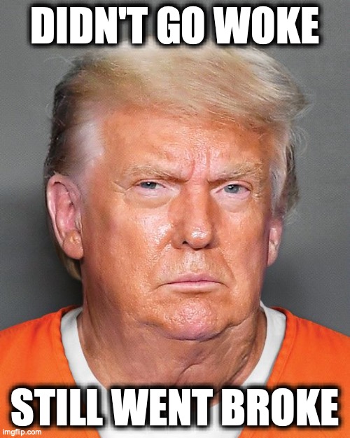 Broken | DIDN'T GO WOKE; STILL WENT BROKE | image tagged in trump,jail,woke | made w/ Imgflip meme maker