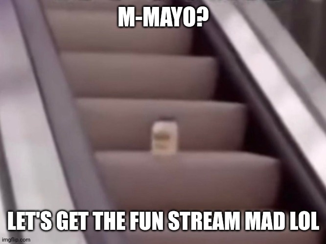let's see how popular this gets | M-MAYO? LET'S GET THE FUN STREAM MAD LOL | image tagged in mayo,stairs,escalator | made w/ Imgflip meme maker