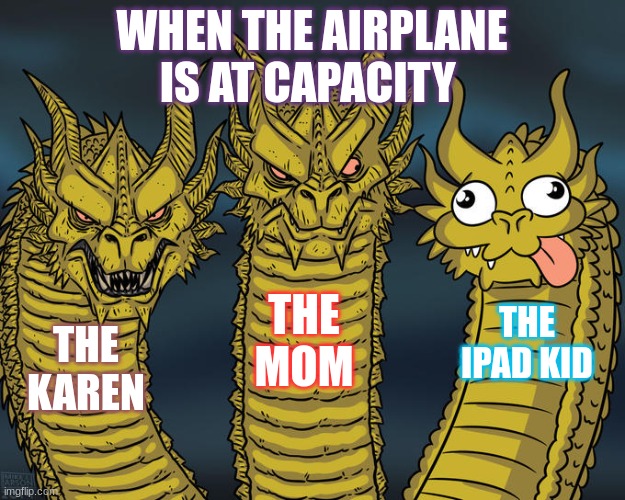 Capacity reached on air plane | WHEN THE AIRPLANE IS AT CAPACITY; THE MOM; THE IPAD KID; THE KAREN | image tagged in three-headed dragon | made w/ Imgflip meme maker