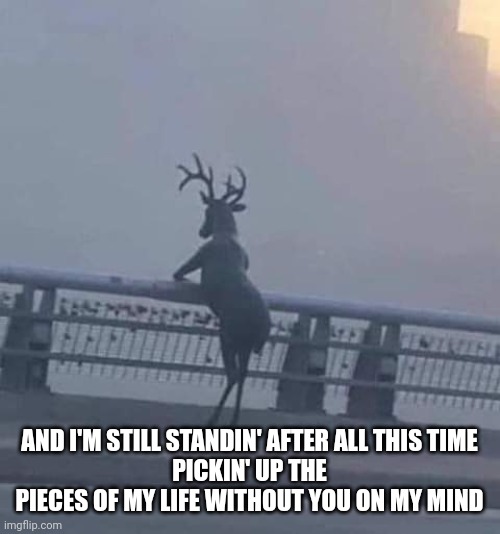 Still standing | AND I'M STILL STANDIN' AFTER ALL THIS TIME
PICKIN' UP THE PIECES OF MY LIFE WITHOUT YOU ON MY MIND | image tagged in funny,funny memes,i'm still worthy | made w/ Imgflip meme maker
