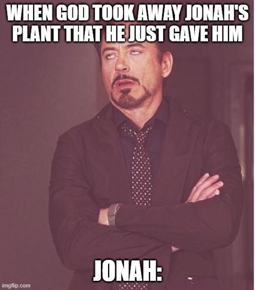 Face You Make Robert Downey Jr | WHEN GOD TOOK AWAY JONAH'S PLANT THAT HE JUST GAVE HIM; JONAH: | image tagged in memes,face you make robert downey jr | made w/ Imgflip meme maker