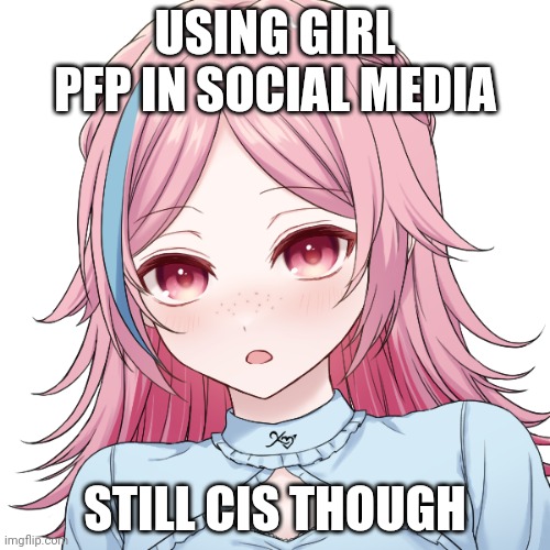 Kawaii girl | USING GIRL PFP IN SOCIAL MEDIA; STILL CIS THOUGH | image tagged in kawaii girl | made w/ Imgflip meme maker