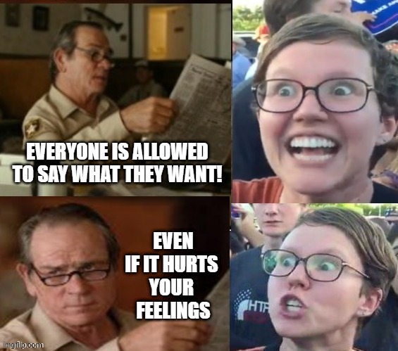 feelings are not everything | EVERYONE IS ALLOWED TO SAY WHAT THEY WANT! EVEN IF IT HURTS 
YOUR 
FEELINGS | image tagged in liberal hypocrisy | made w/ Imgflip meme maker