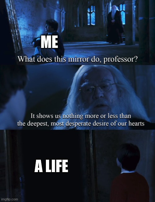 If only | ME; A LIFE | image tagged in harry potter mirror,get a life | made w/ Imgflip meme maker