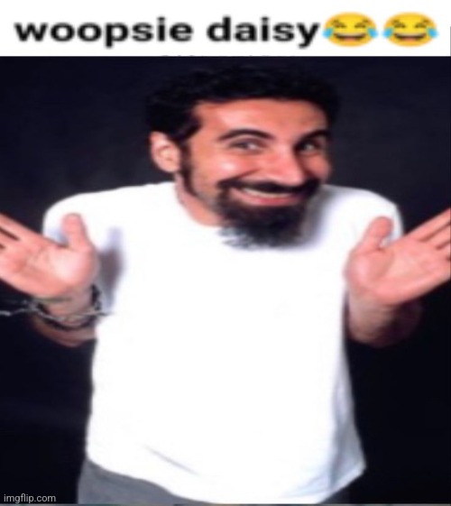 woopsie daisy | image tagged in serj tankian whoopsie daisy | made w/ Imgflip meme maker