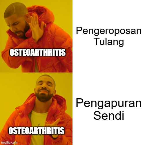 Medical Meme #1 | Pengeroposan Tulang; OSTEOARTHRITIS; Pengapuran Sendi; OSTEOARTHRITIS | image tagged in memes,drake hotline bling | made w/ Imgflip meme maker